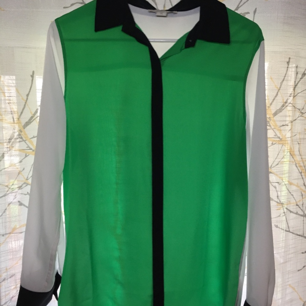 Coldwater Creek Sheer Blouse